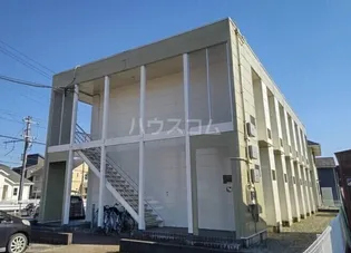 パフィオの画像