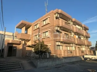 ルミエール 緑の画像
