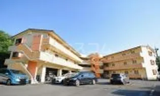 アイビス小絹Aの画像