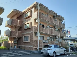 メイユールの画像