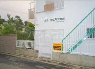 ホワイトドリームの画像