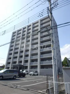 アルトカッシーナの画像