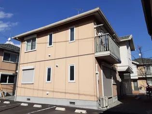 スプリングハーモニーBの画像