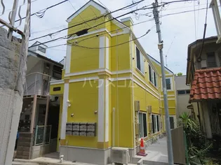 フェリスパンジーの画像