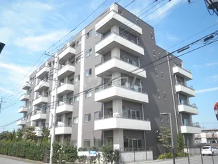 カルム竹林の画像