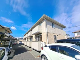 シュシュの画像