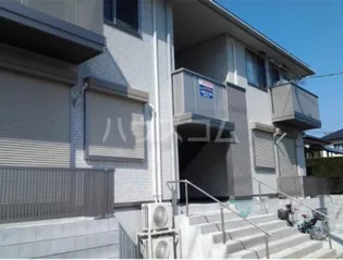 オリーブの画像