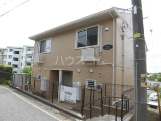 アシネスの画像