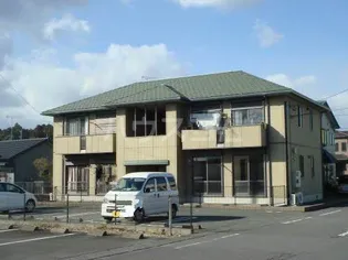 ピア グリーンの画像