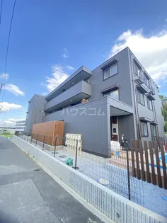 グレイスの画像