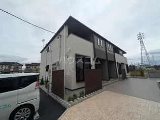 フェリスⅡの画像