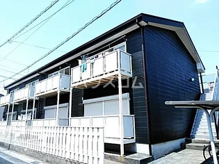 サープラスⅡ野菊の画像