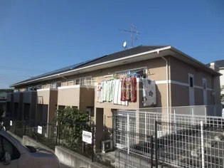 レカンドコリーヌの画像