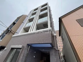 アリウムの画像