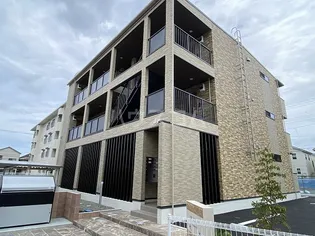 クレメントMの画像