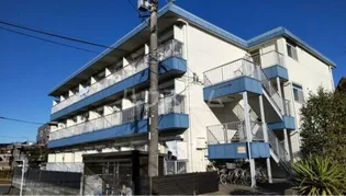 ニューフラットワシガミネの画像