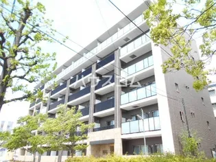 PLUMERIAの画像