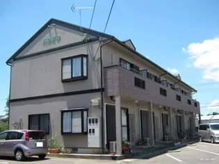 パシオンの画像