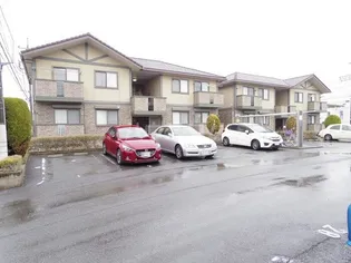 ムーン コート Cの画像