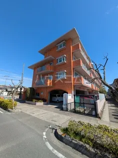 ファミールの画像