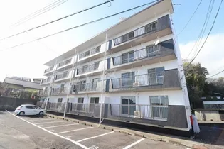 エクスト今泉の画像