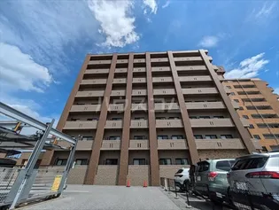 プラナス桜の画像