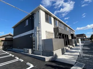 リコリスの画像