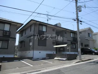 ステジュアンAの画像