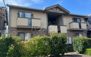 オリーブの画像