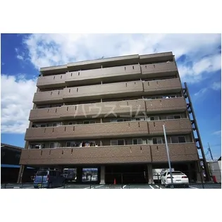 ベリーコートの画像