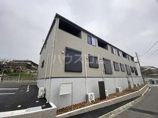 エンジュの画像