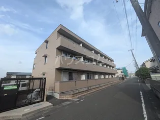 シャルムの画像