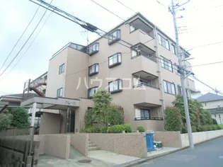 アムールの画像