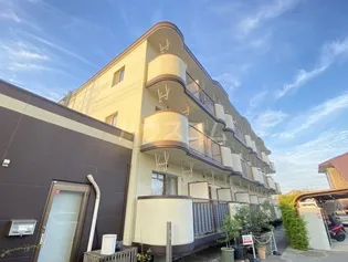 ビューラーヤマダの画像