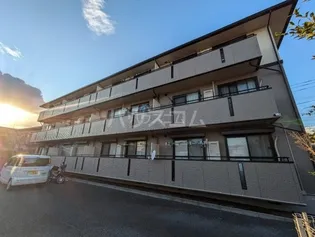 ハイカムールSTの画像