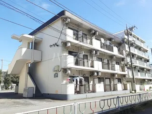 ベルス清新の画像