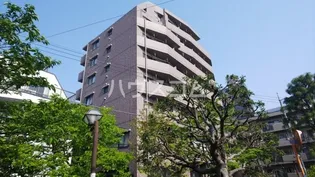 第6ドミール森田の画像