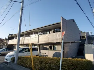 アムールKの画像