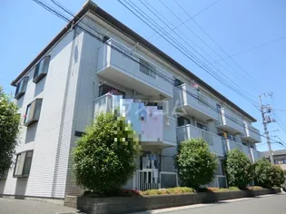 シャインコンドウの画像