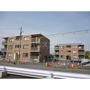 キャメリアAの画像