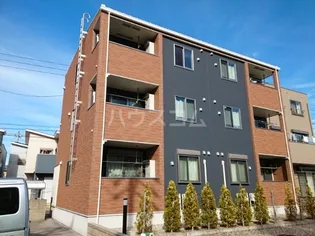 プリムローズの画像