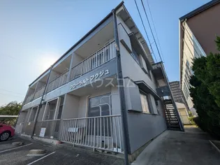 フローラルフクジュの画像