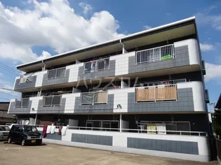 メゾンルミエールの画像