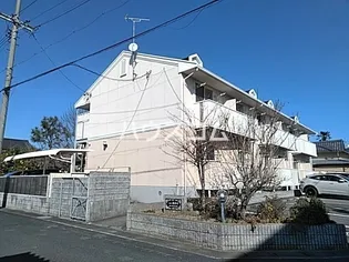 ベル花水木の画像