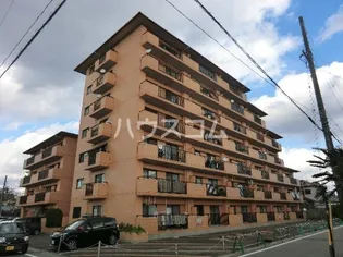 ぴあはくさんの画像