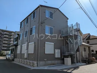 モンステラひばりの画像