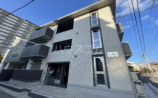 フェリスの画像