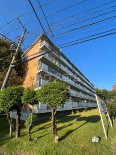 上中の原団地1号棟の画像