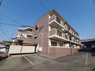 あすなろの画像