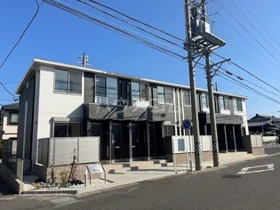 オリーブの画像